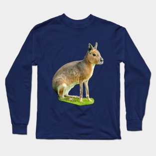 Mara or Patagonian Hare Long Sleeve T-Shirt